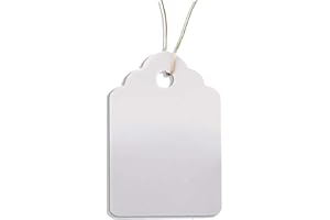 HomeTools.eu - 100 Etichette per Piante con asola, Ideali per Piante, Alberi e cespugli, in plastica, Misura 3,5 x 2,5 cm, Resistenti alle intemperie