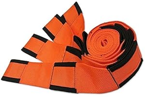 LOBWERK Tragegurte für Umzug Spanngurt Transportband Lifting Straps