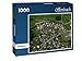 Produktbild Offenbach - Puzzle 1000 Teile mit Bild von oben