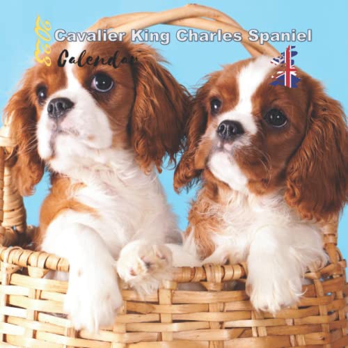 cavalier-king-charles-spaniel-calendar-2023-12-month-size-8-5x8-5