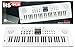 Produktbild Keyboard HS-5416 mit Aufnahmefunktion und Mikrofon - 15 Sounds und 99 Rythmen, zwei Stereo Lautsprecher, Lautstärkeregler, USB-Eingang - Electric Piano