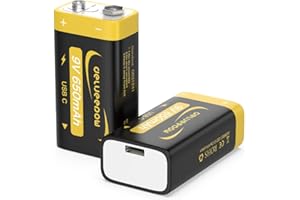 Delyeepow Batterie Ricaricabili 9V USB-C 650 mAh, Batteria al Litio Ricaricabili da 9V, Pile Ricaricabili 9V, 1500 Cicli con Cavo USB-C, Confezione da 2