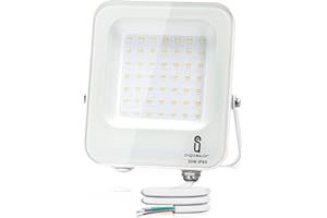 Aigostar Foco LED de Exterior 30W 2700lm Foco Proyector Led, IP65 Impermeable Luz de Seguridad, Blanco Natural 4000K Foco LED Para Jardines, Patios, Garajes, Parques, etc.
