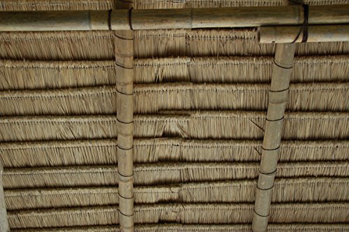 Palmendächer Palmdach Paneele Palmschindel Palmenblätter 145 cm (1) - 5