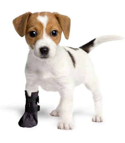 Dog Booties And Paw Protectors Tinkare Cat Hock Socks (1 Pair