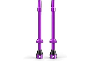 Shredr. Set di valvole Tubeless | Presta Valvole per pneumatici tubeless | Alluminio super leggero, anodizzato colorato, valvola francese, per cerchi normali tubeless (viola, 80)