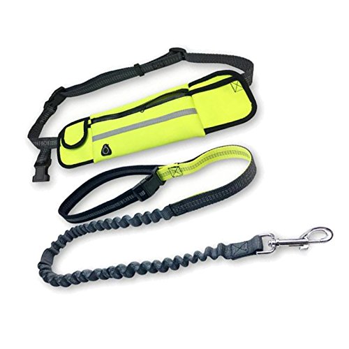 Carejoy Kit de Laisse de Chien pour Courir Mains Libres Laisse de Course Réglable pour Les Petits, Moyens et Grands Chiens Marche et Randonnée