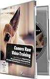 Camera Raw-Video-Training: Perfektion lässt sich regeln! by 