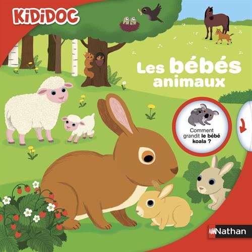 couverture de : Les bébés animaux