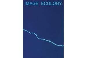 Image Ecology