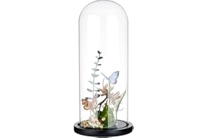 BENECREAT Cubierta de Cristal Transparente con Forma de Flor Eterna de 11.7x30cm, Tarro de Cristal con Forma de Cúpula Y Base de Madera Maciza Negra para Manualidades Florales