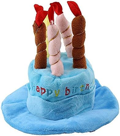 Kaisir Dog Birthday Hat with Cake &amp; Candles Design Party Costume Accessory Headwear (One Size Fits Most) (Blue)