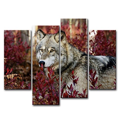 4 Piece Wall Art Immagini Immagine Lupo nel Bosco Stampe su Tela Animal The Decor Oil for Home Decorazione Moderna Stampa