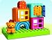 LEGO DUPLO 10553: Toddler Build and Play Cubes