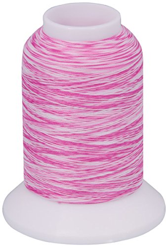 Overlock/Bauschgarn (Multicolor/1000 m) VA102