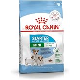 Royal Canin Mini Starter Anne ve Yavru K&ouml;pek Maması 1 Kilogram | Doğal savunma, sindirim, gebelik ve emzirmeyi destekler, kol