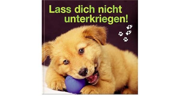 Lass Dich Nicht Unterkriegen Amazonde Lara Herzig Bücher - 