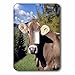 Price comparison product image 3dRose LSP_82188_1 Italy, Dolomite Alps, Swiss Brown Cow Eu16 Rer0140 RIC Ergenbright Single Toggle Switch