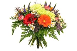 frische Blumen versenden zum Geburtstag - Lieferung in 1-2 Werktage - Blumenstrauß von Flora Trans - Farbspektrum -