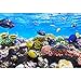 Produktbild OERJU 1,5x1m Unterwasserwelt Hintergrund Sprudel Bunt Gelb Blau Tropischer Fisch Koralle Rocks Hintergrund Party-Dekor Porträt Fotografie Requisiten