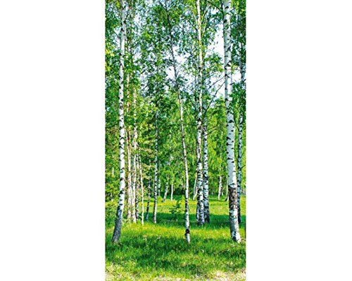 Vlies Fototapete - Birkenhain 110 x 220 cm