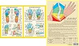 Image de Hand and Foot Reflexology