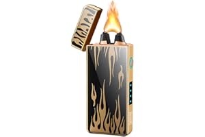 SKRFIRE Arc electric lighter rechargeable usb plasma Lighter cool lighter Windproof Flame Lighter with LED Battery Indicator(Flame)