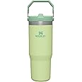 Stanley IceFlow Stainless Steel Tumbler - Vacuum Insulated Water Bottle for Home, Office or Car Reusable Cup with Straw Leak Resistant Flip Cold for 12 Hours or Iced for 2 Days, Citron, 30oz