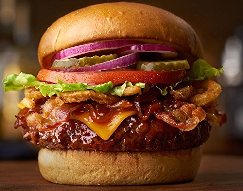 homequip 4 Hohlraum-Burgerpresse – Gesunde Homemade Hamburger & Gourmet Patties für BBQ Grill mit der burgermiester | Ofen backen Quiche, Pies & mehr | leicht zu Store Premium Lebensmittelechtes Antihaft Silikon Tablett - 6