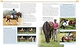Image de Complete Horse Riding Manual