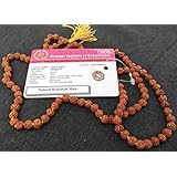 Apnisanskriti Laboratory Certified 6mm 108+1 Beads 5 Mukhi Rudraksh Mala - Brown Color - Rudraksh - Pack of 1