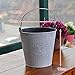 Produktbild Roxnic Kreative Hydroponische Mehrzweck Retro Alte Mini Metalleimer Blume Container Home Desktop Dekoration Ornamente Blume Container Starke und dauerhafte Eisen Blume Eimer