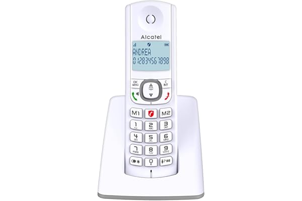 ALCATEL F530 - Téléphone Fixe Sans Fil DECT - Grand Écran Rétroéclairé - Mains Libres - Fonction Blocage Des Appels - 2 Touches De Mémoires Directes - Blanc/Gris
