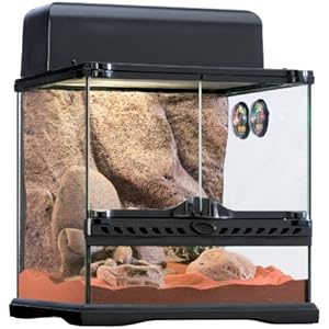 Exo Terra PT2650 EX Desert Habitat Kit medium