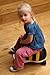Wheelybug Bee Ride-On - Small