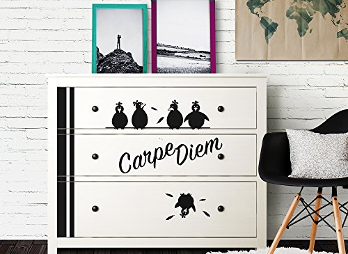 Wandaro W3346 Wandtattoo Carpe Diem + Vögel passend für IKEA HEMNES Kommode azurblau - 2