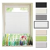 easyfix rollos 【Lichtdurchlässigkeit】: Das Faltrollo sind transluzent aber blickdicht und kann die Blendung abhalten und lässt das Licht des Innenraums weich sein. Je dunkler die Farbe, desto besser die Schattierungsleistung. Während das Sonnenelicht durch das Rollo scheint, wird es gefiltert Ihren Raum in ein schönes, sanftes Licht.