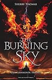 Cover zum Buch Der flammende Himmel