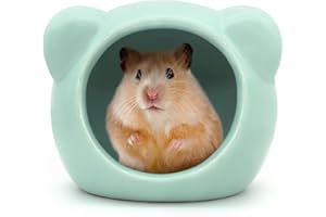 Andiker Ceramic Hamster House, Cute Animal Shape Hamster Cave Summer Cool Small Animal Hideout Habitat Decor for Dwarf Hamsters, Gerbils, Chinchilla, Golden Silk Bear (Green, M)