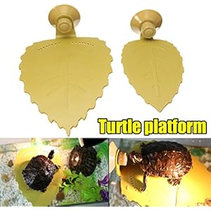 bureze Schildkröte Reptile Basking Terrasse Blätter Schildkröte Plattform