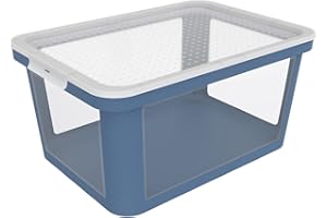 Rotho Albris - Scatola portaoggetti 45 l con coperchio, in plastica (PP riciclato), 45 l (57,0 x 39,2 x 27,0 cm)