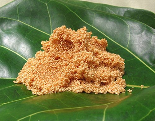 LENI Blusana 800ml Langzeitdünger Dünger Lewatit HD 50 - 2