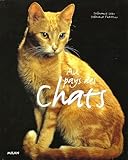 Au pays des chats