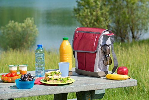 Campingaz Kühltasche aus der Serie Urban Picnic als Tragetasche, Grösse 33 x 28 x 10,5 cm, Volumen 8 Liter - 3
