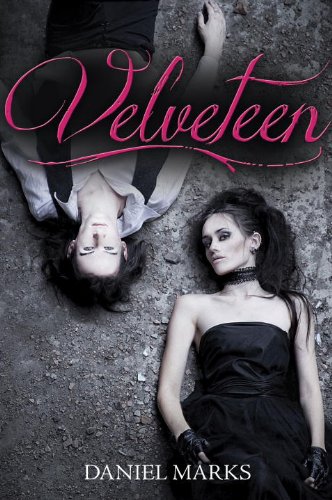 Velveteen (English Edition) livre