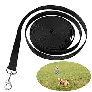 UEETEK Perro obediente cuerda Nylon largo mascota perro formación correa de entrenamiento llevar negro 10M