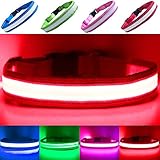 Cable de carga incluido. PetSol - Collar de seguridad para perro con LED recargable USB - LED superbrillantes - Mayor seguridad y visibilidad extrema - 6 colores 3 tamaños