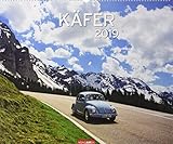 Käfer - Kalender 2019 by 