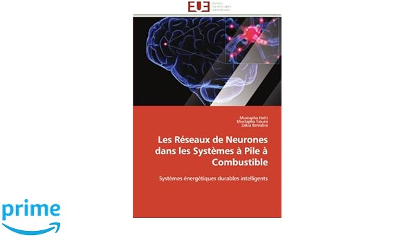 Amazonfr Les Réseaux De Neurones Dans Les Systèmes à Pile - 
