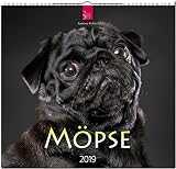 MF-Kalender MÖPSE 2019 by